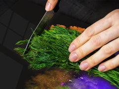 UNIQUE Tempered GLASS Kitchen Board – Impact & Scratch Resistant Cooktop cover – SINGLE: 80 x 52 cm; DOUBLE: 40 x 52 cm; DD45 Art Series : Colour explosion 3