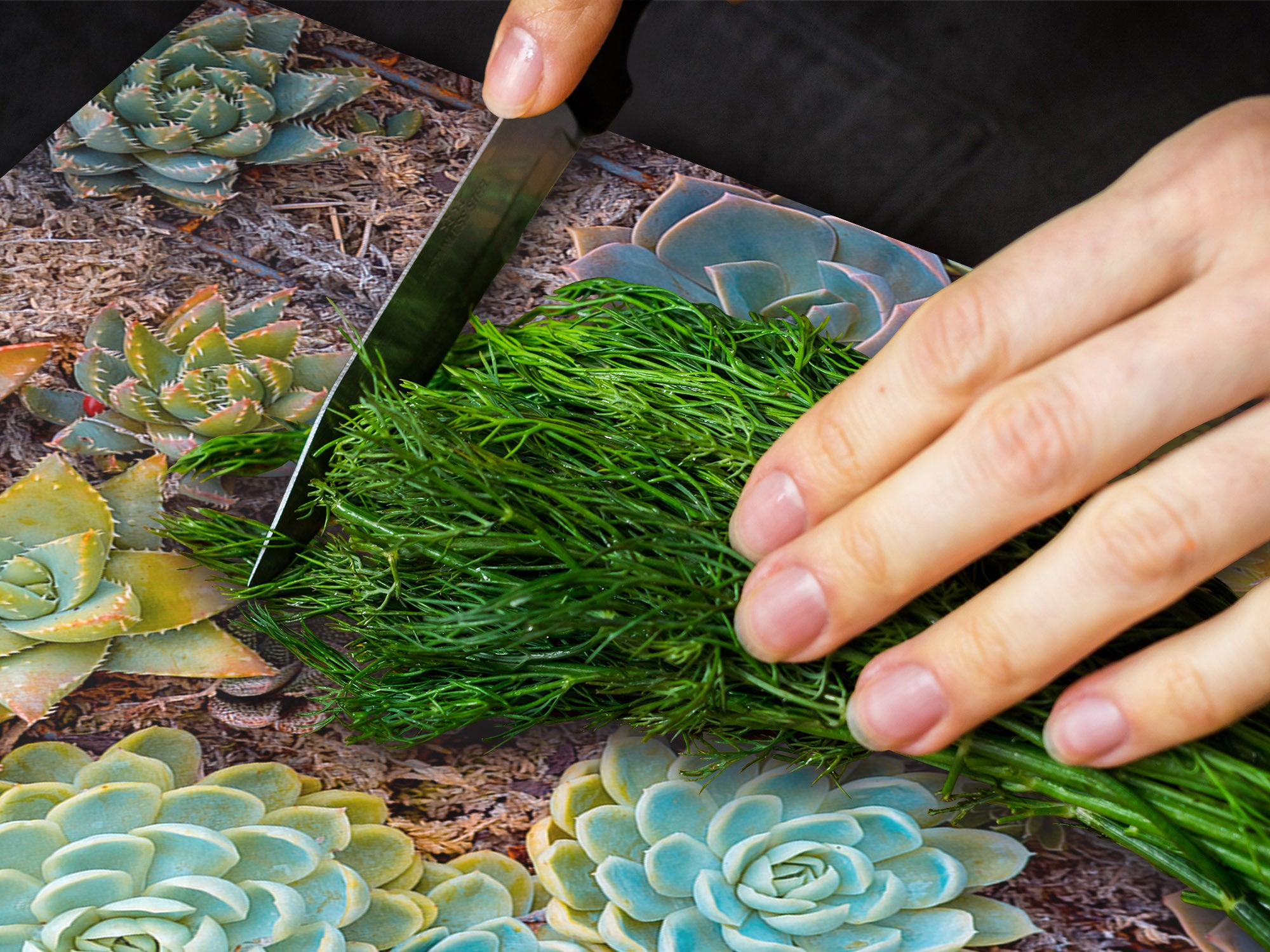 Ensembles de planches à découper TRES GRAND; Série Alimentaire DD16: Nourriture africaine