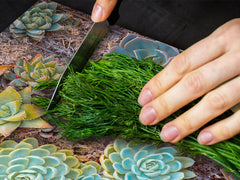 Ensembles de planches à découper TRES GRAND; Série Alimentaire DD16: Nourriture africaine