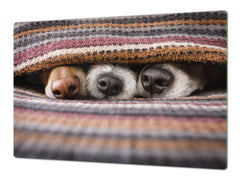 BIG KITCHEN BOARD & Induction Cooktop Cover – Glass Pastry Board – SINGLE: 80 x 52 cm (31,5” x 20,47”); DOUBLE: 40 x 52 cm (15,75” x 20,47”); DD47 Animals Series : Sleeping dogs