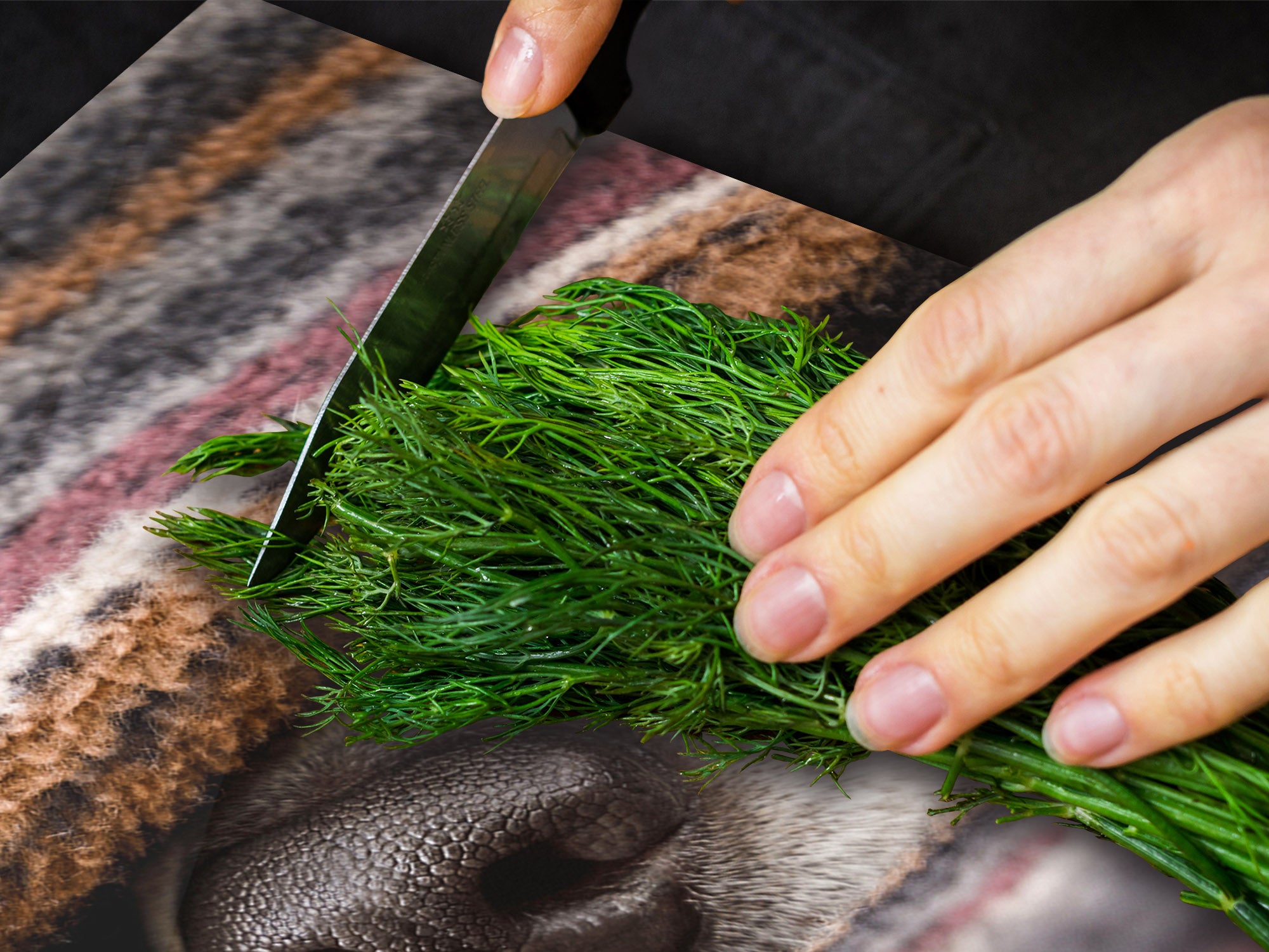 BIG KITCHEN BOARD & Induction Cooktop Cover – Glass Pastry Board – SINGLE: 80 x 52 cm (31,5” x 20,47”); DOUBLE: 40 x 52 cm (15,75” x 20,47”); DD47 Animals Series : Sleeping dogs