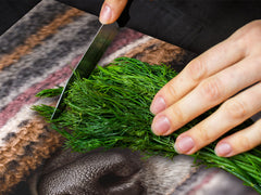 BIG KITCHEN BOARD & Induction Cooktop Cover – Glass Pastry Board – SINGLE: 80 x 52 cm (31,5” x 20,47”); DOUBLE: 40 x 52 cm (15,75” x 20,47”); DD47 Animals Series : Sleeping dogs