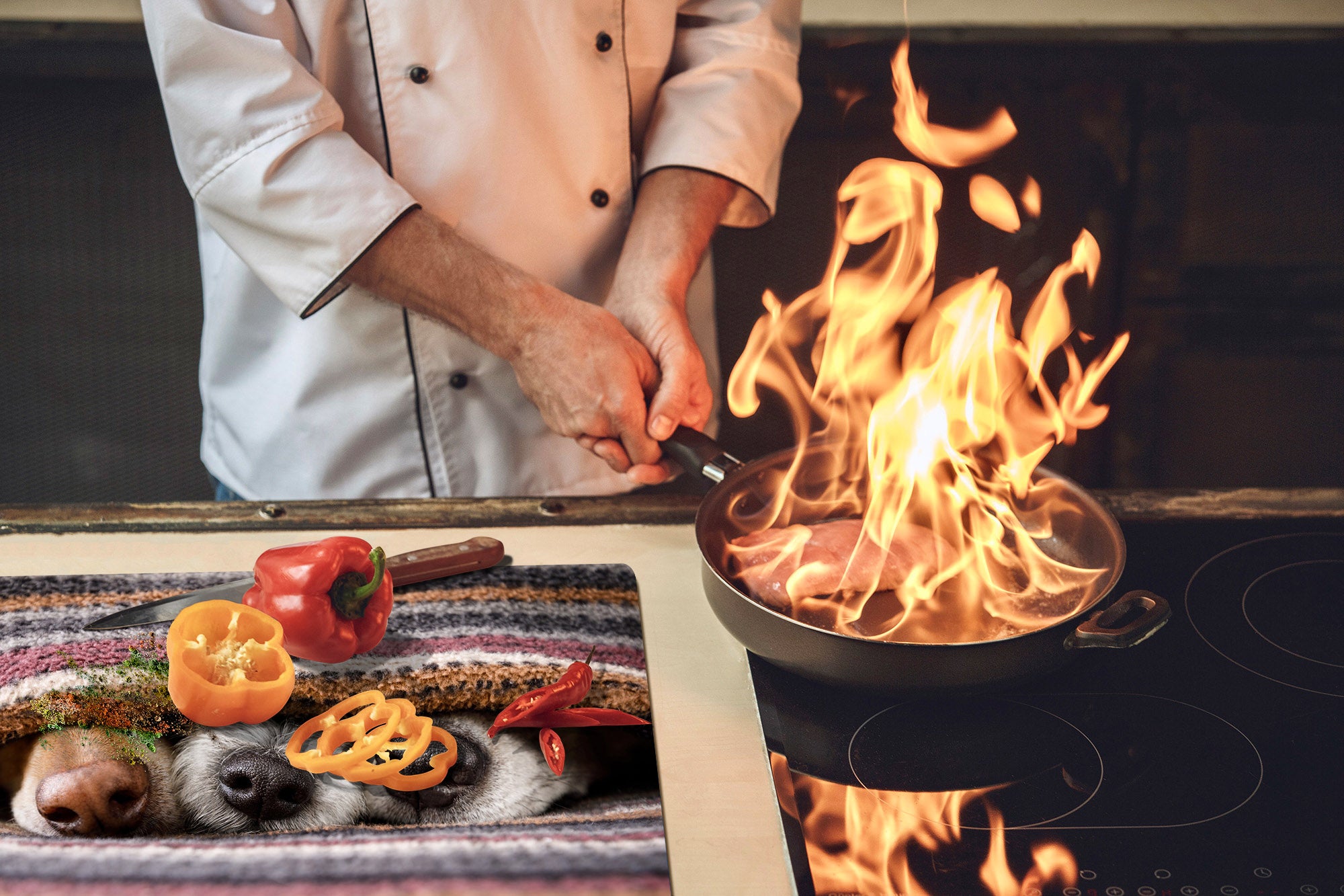 BIG KITCHEN BOARD & Induction Cooktop Cover – Glass Pastry Board – SINGLE: 80 x 52 cm (31,5” x 20,47”); DOUBLE: 40 x 52 cm (15,75” x 20,47”); DD47 Animals Series : Sleeping dogs