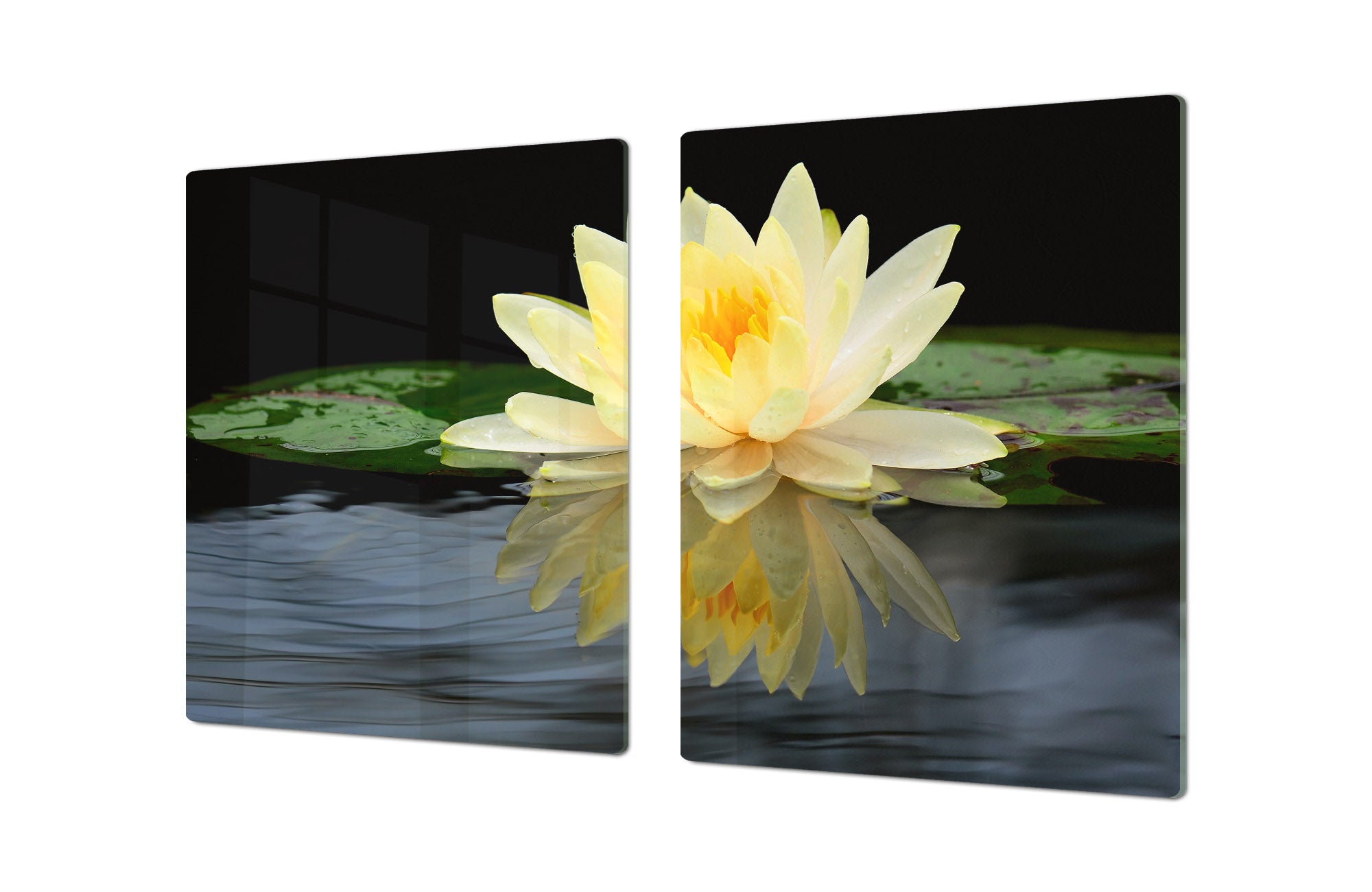 Gigantic Worktop saver and Pastry Board - Tempered GLASS Cutting Board - MEASURES: SINGLE: 80 x 52 cm; DOUBLE: 40 x 52 cm; DD44 Nature series : Beautiful water lilly flower 2