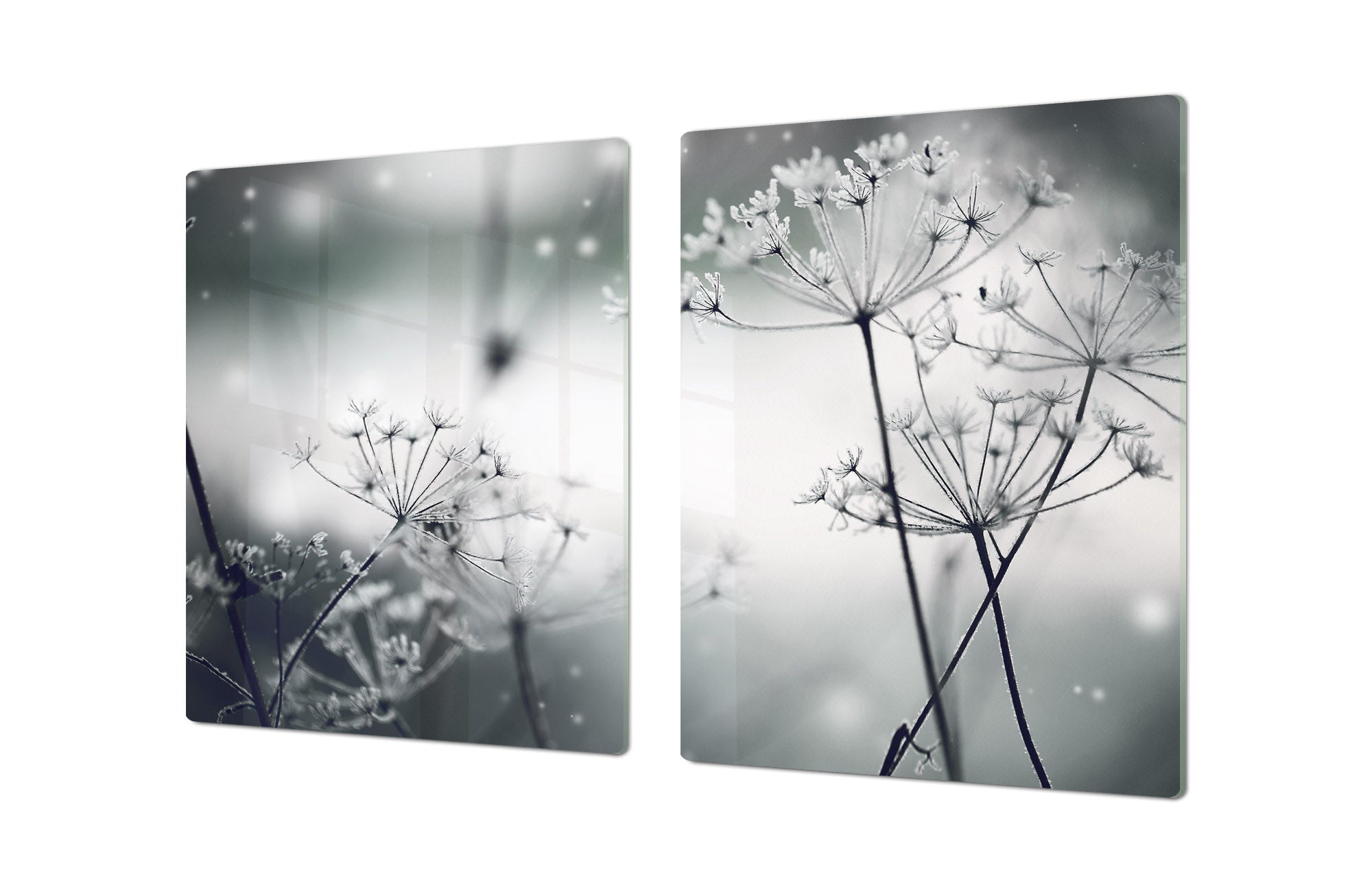 ENORMOUS  Tempered GLASS Chopping Board - Induction Cooktop Cover – SINGLE: 80 x 52 cm; DOUBLE: 40 x 52 cm; DD51 : Winter Flower Scene