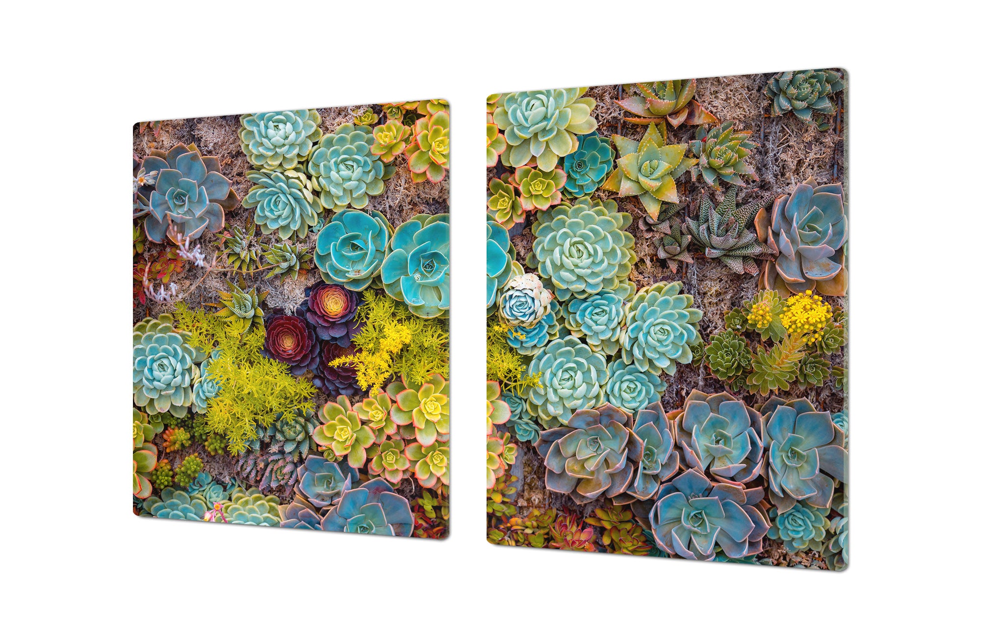 Ensembles de planches à découper TRES GRAND; Série Alimentaire DD16: Nourriture africaine