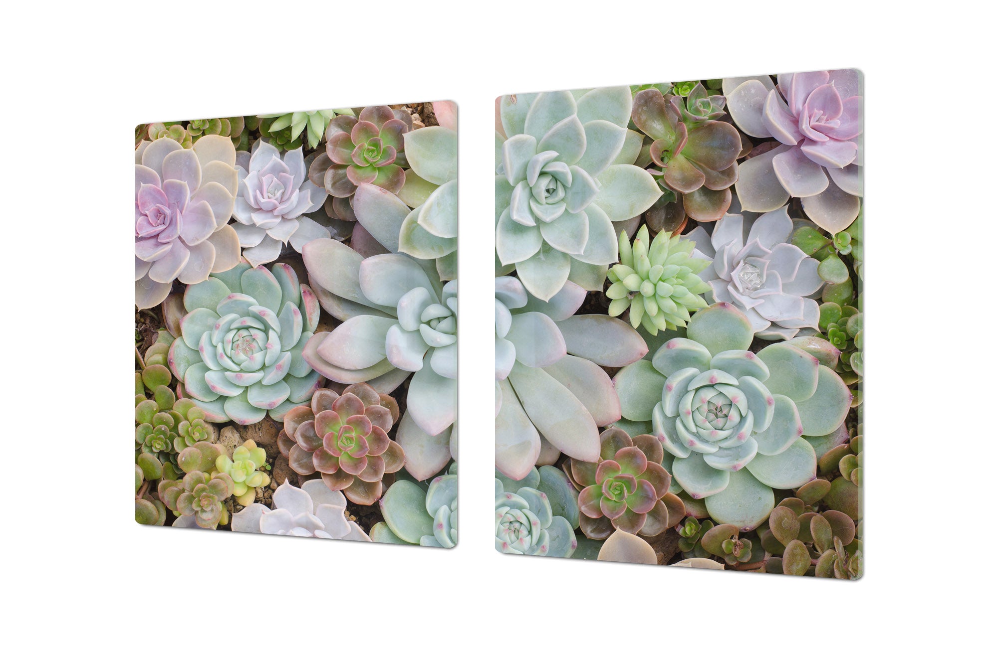 Gigantic Worktop saver and Pastry Board - Tempered GLASS Cutting Board - MEASURES: SINGLE: 80 x 52 cm; DOUBLE: 40 x 52 cm; DD44 Nature series : Rock garden 2