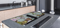 Gigantic Worktop saver and Pastry Board - Tempered GLASS Cutting Board - MEASURES: SINGLE: 80 x 52 cm; DOUBLE: 40 x 52 cm; DD44 Nature series : Rock garden 2