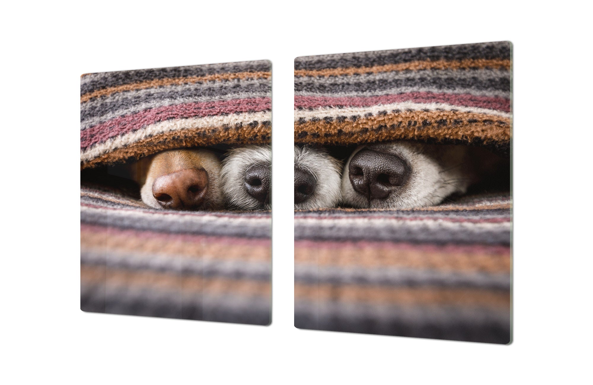 BIG KITCHEN BOARD & Induction Cooktop Cover – Glass Pastry Board – SINGLE: 80 x 52 cm (31,5” x 20,47”); DOUBLE: 40 x 52 cm (15,75” x 20,47”); DD47 Animals Series : Sleeping dogs
