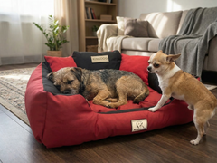 Red Premium Waterproof Bed - Plush Silicone Fill - Handmade in EU | Concept Crystal