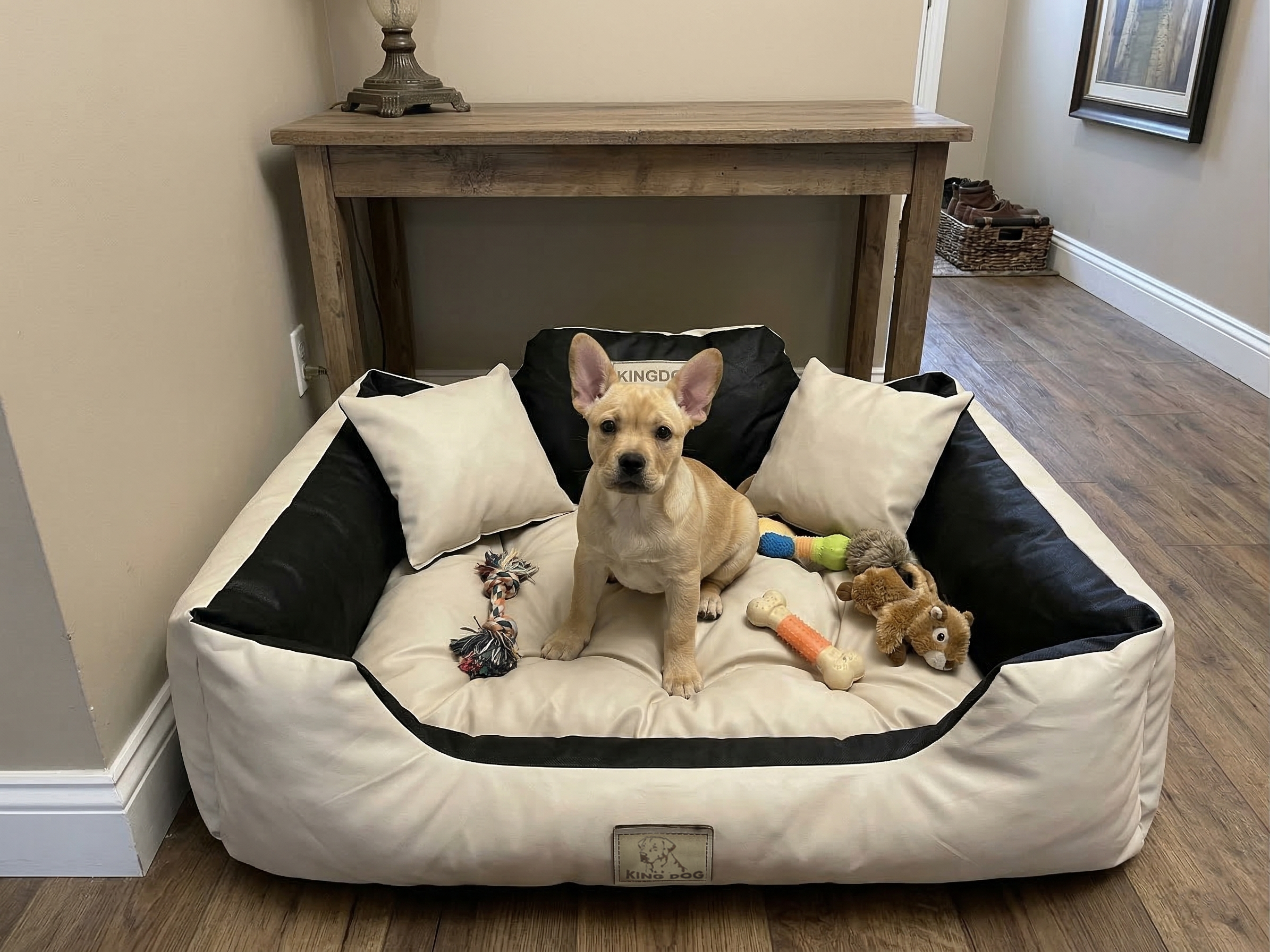 Beige Waterproof Dog Bed - Durable Codura Fabric & Silicone Fill | Concept Crystal
