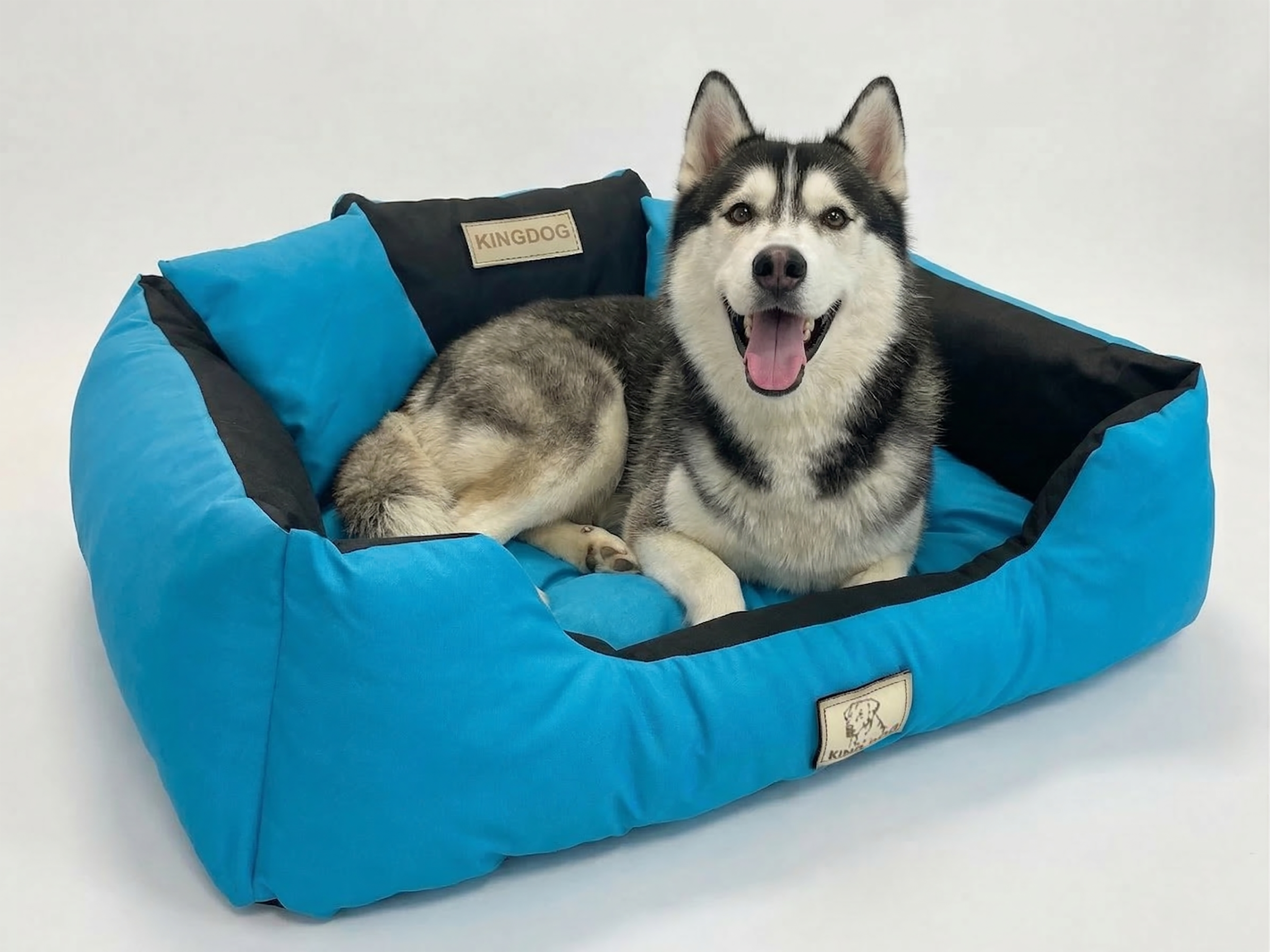 Blue Durable Dog Bed - Waterproof & Easy Wash Codura - Handmade | Concept Crystal