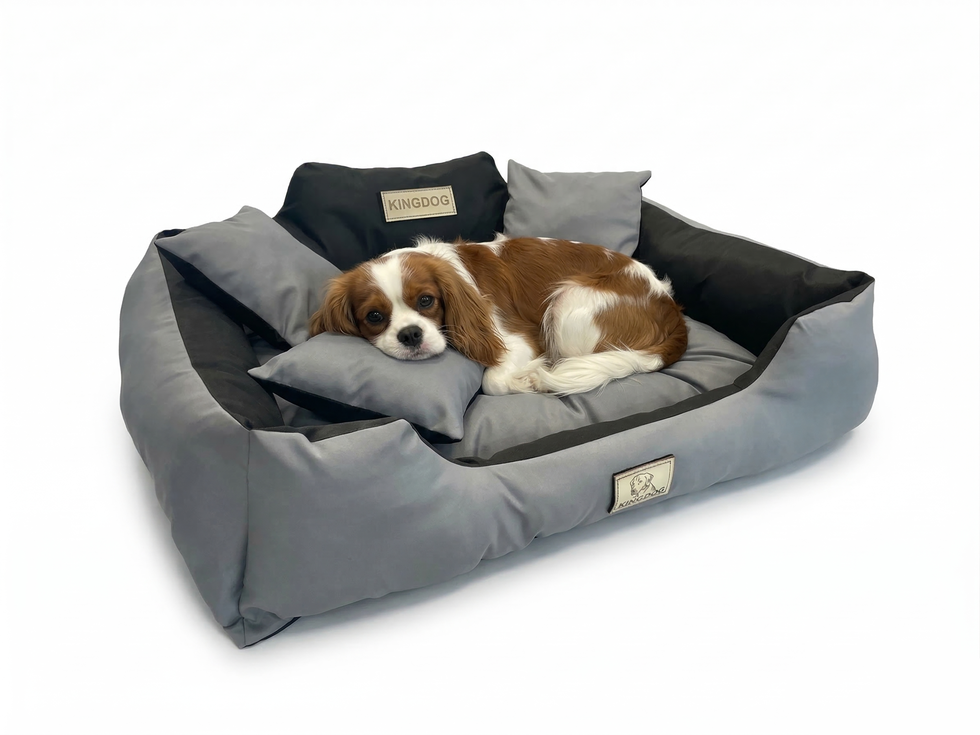 Dark Grey Scratch-Resistant Dog Bed - Washable & Waterproof Codura | Concept Crystal