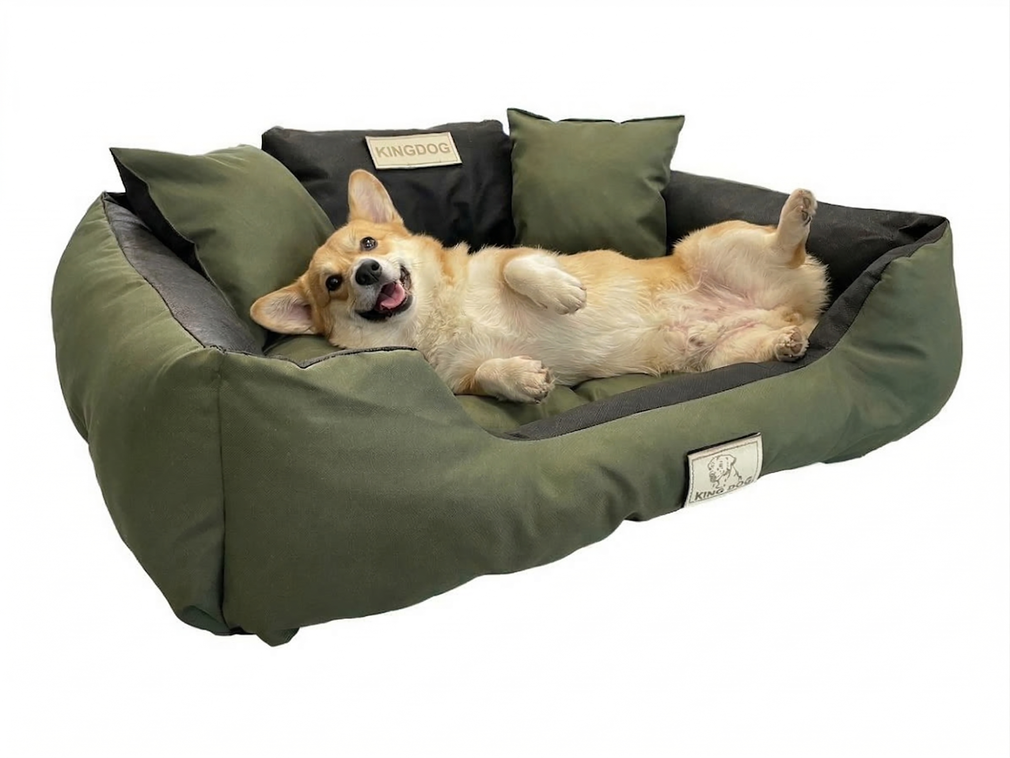 Green Odor-Resistant Dog Bed - Waterproof & Anti-Allergic Codura | Concept Crystal