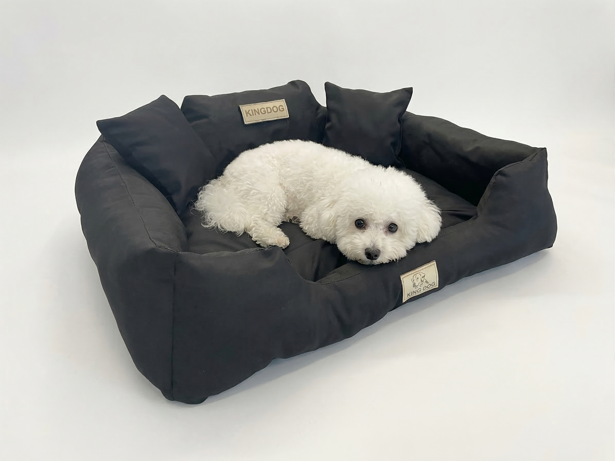 Black Hypoallergenic Dog Bed - Waterproof & Anti-Allergic Codura | Concept Crystal