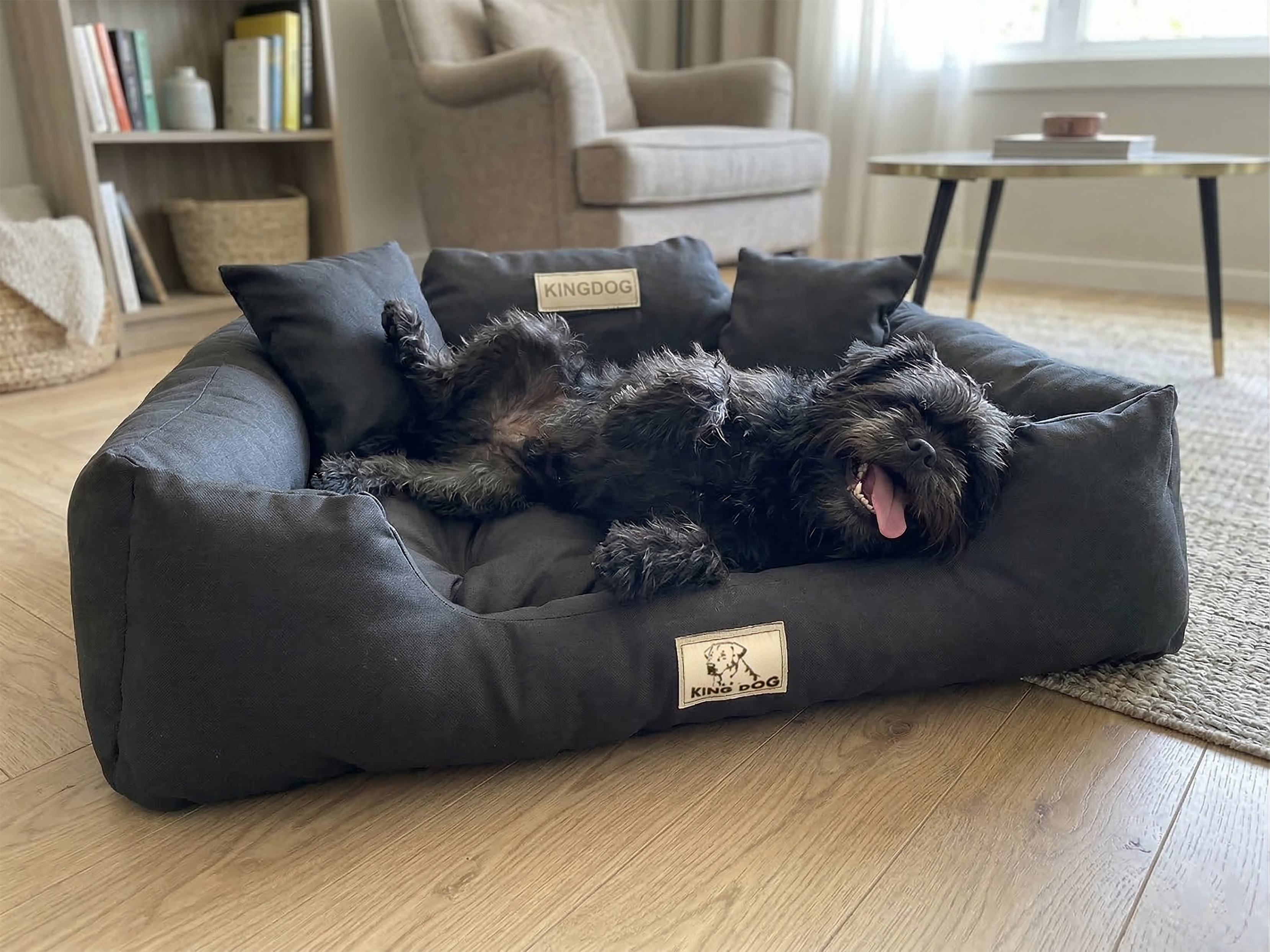 Black Hypoallergenic Dog Bed - Waterproof & Anti-Allergic Codura | Concept Crystal