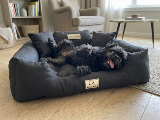 Black Hypoallergenic Dog Bed - Waterproof & Anti-Allergic Codura | Concept Crystal