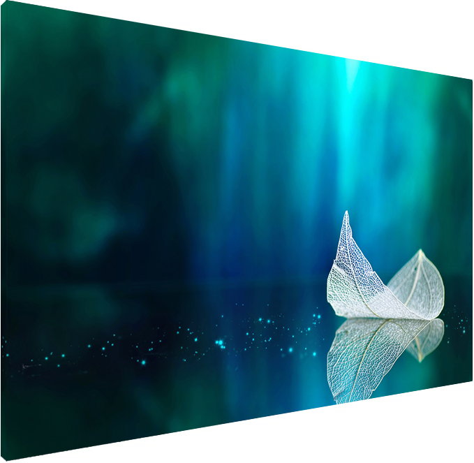 Magnetic Metal Board – Dry-Erase Wall Board & Strong Magnet Bulletin Board for Offices, Homes & Classrooms – Modern & Durable Wall Organizer : Leaf on a mirror surface