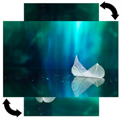 Magnetic Metal Board – Dry-Erase Wall Board & Strong Magnet Bulletin Board for Offices, Homes & Classrooms – Modern & Durable Wall Organizer : Leaf on a mirror surface