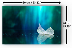 Magnetic Metal Board – Dry-Erase Wall Board & Strong Magnet Bulletin Board for Offices, Homes & Classrooms – Modern & Durable Wall Organizer : Leaf on a mirror surface