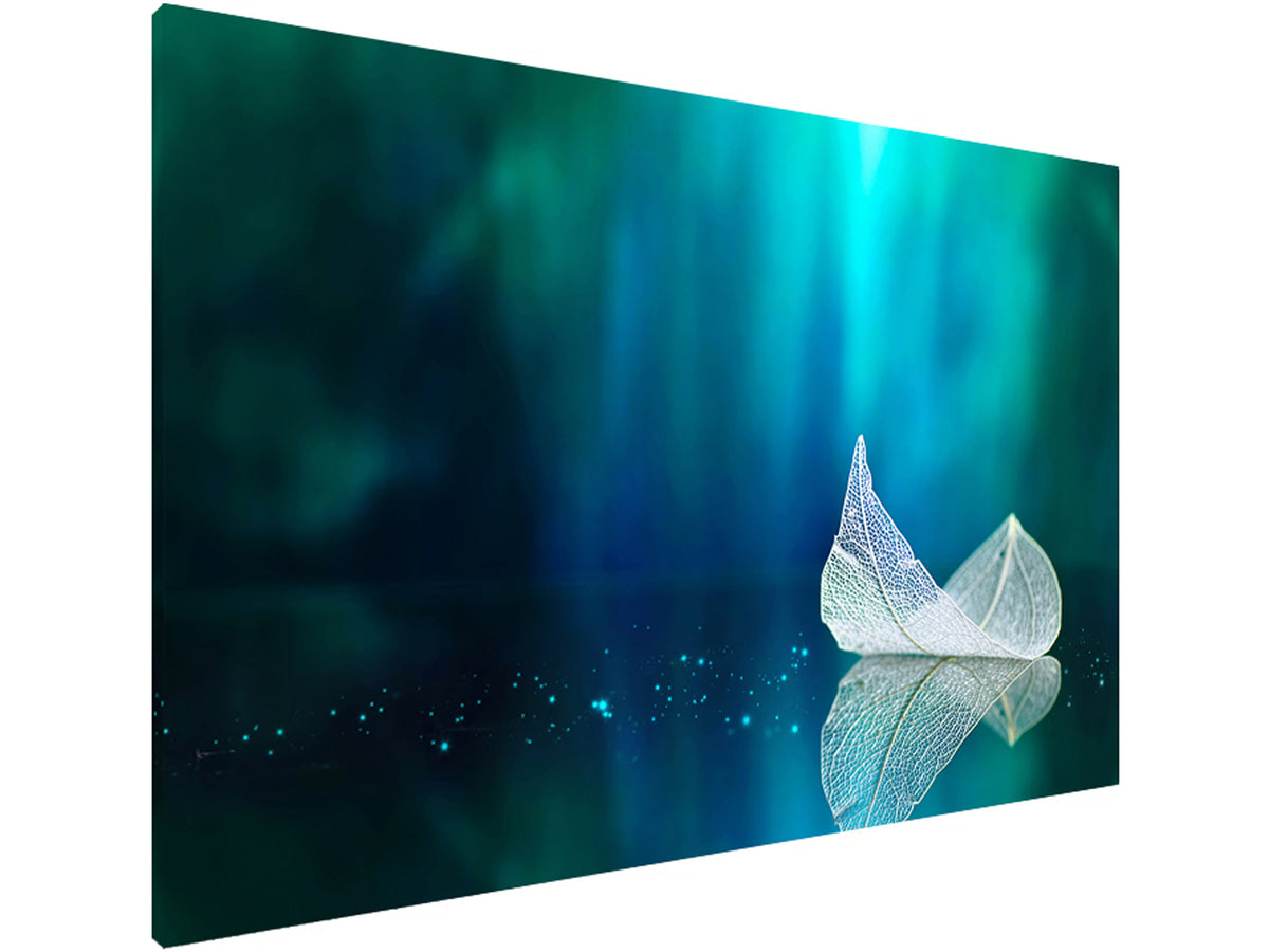 Magnetic Metal Board – Dry-Erase Wall Board & Strong Magnet Bulletin Board for Offices, Homes & Classrooms – Modern & Durable Wall Organizer : Leaf on a mirror surface