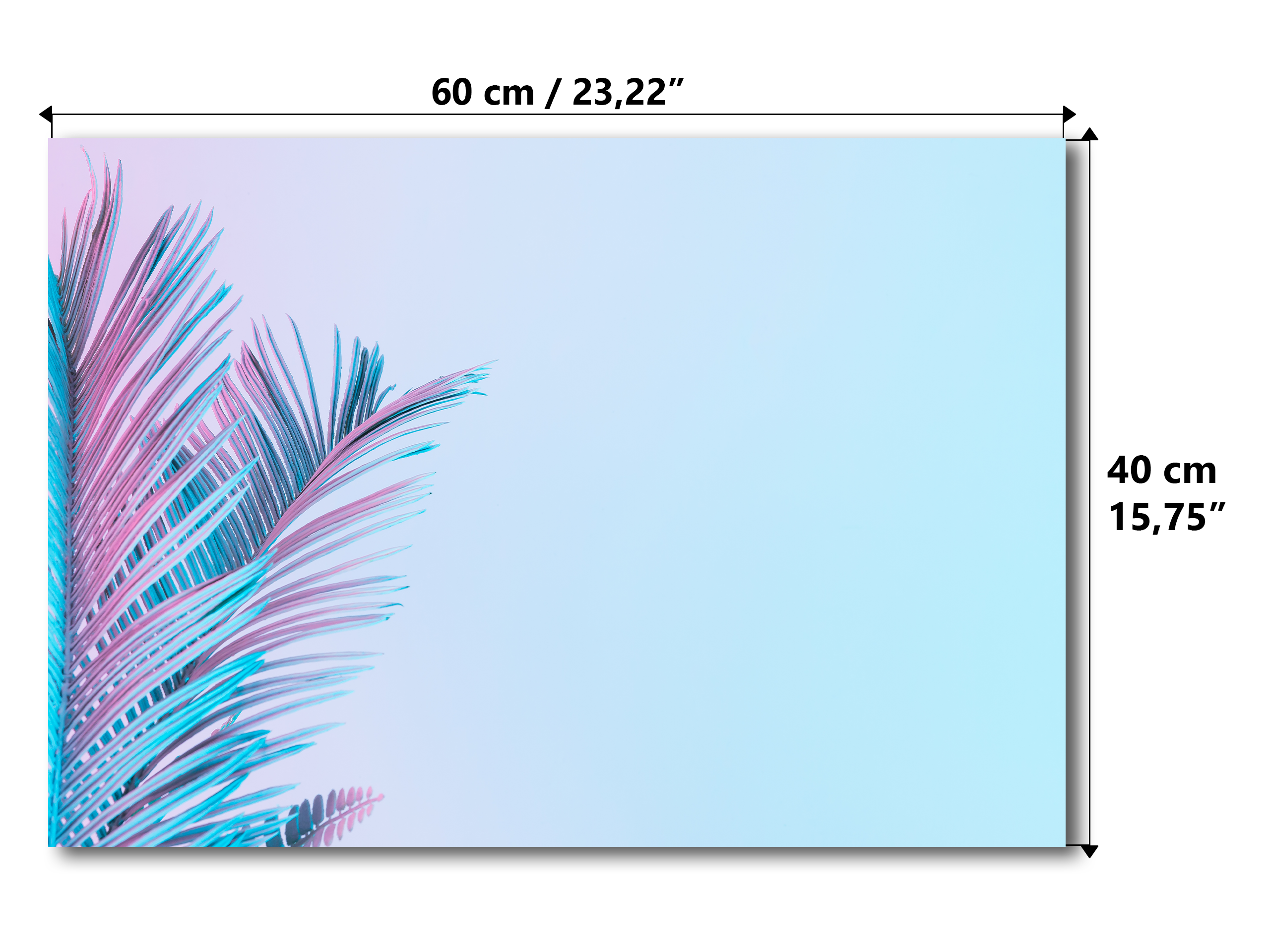Magnetic Metal Board – Dry-Erase Wall Board & Strong Magnet Bulletin Board for Offices, Homes & Classrooms – Modern & Durable Wall Organizer : Tropical leaves