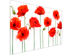 Magnetic Metal Board – Dry-Erase Wall Board & Strong Magnet Bulletin Board for Offices, Homes & Classrooms – Modern & Durable Wall Organizer : Poppy seed flowers