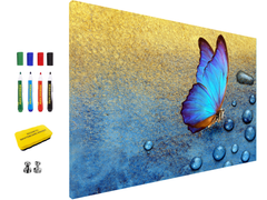 Magnetic Metal Board – Dry-Erase Wall Board & Strong Magnet Bulletin Board for Offices, Homes & Classrooms – Modern & Durable Wall Organizer : Tropical butterfly 2