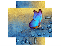 Magnetic Metal Board – Dry-Erase Wall Board & Strong Magnet Bulletin Board for Offices, Homes & Classrooms – Modern & Durable Wall Organizer : Tropical butterfly 2