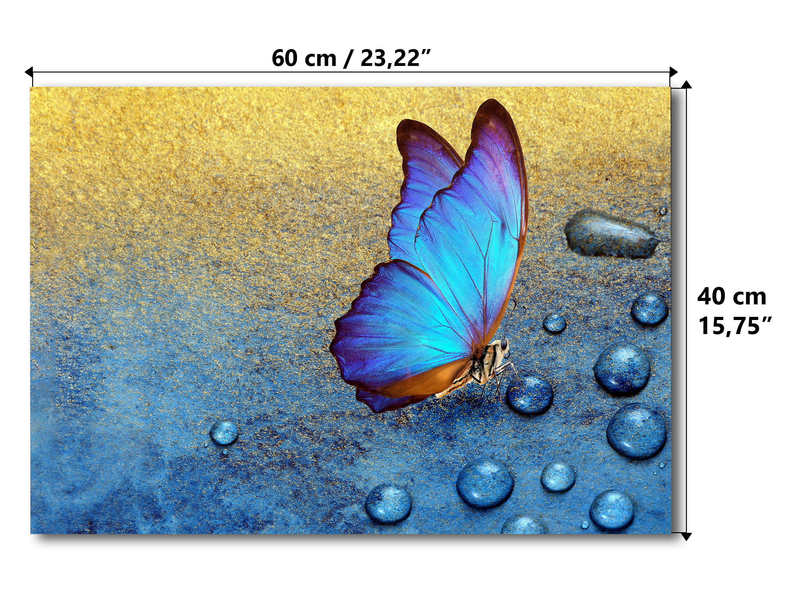 Magnetic Metal Board – Dry-Erase Wall Board & Strong Magnet Bulletin Board for Offices, Homes & Classrooms – Modern & Durable Wall Organizer : Tropical butterfly 2