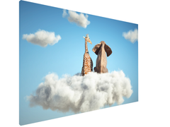 Magnetic Metal Board – Dry-Erase Wall Board & Strong Magnet Bulletin Board for Offices, Homes & Classrooms – Modern & Durable Wall Organizer : Cloud of Friendship