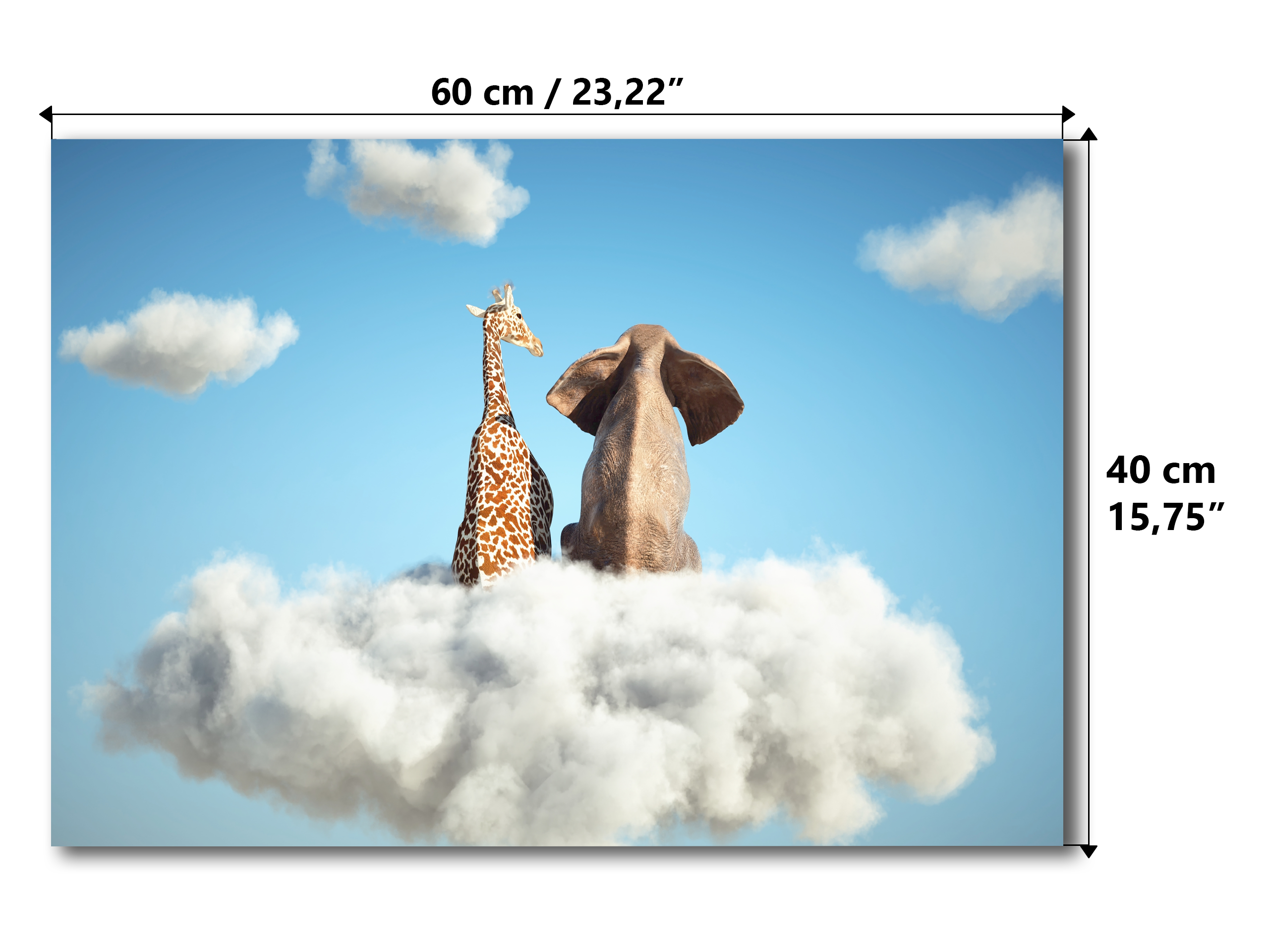 Magnetic Metal Board – Dry-Erase Wall Board & Strong Magnet Bulletin Board for Offices, Homes & Classrooms – Modern & Durable Wall Organizer : Cloud of Friendship