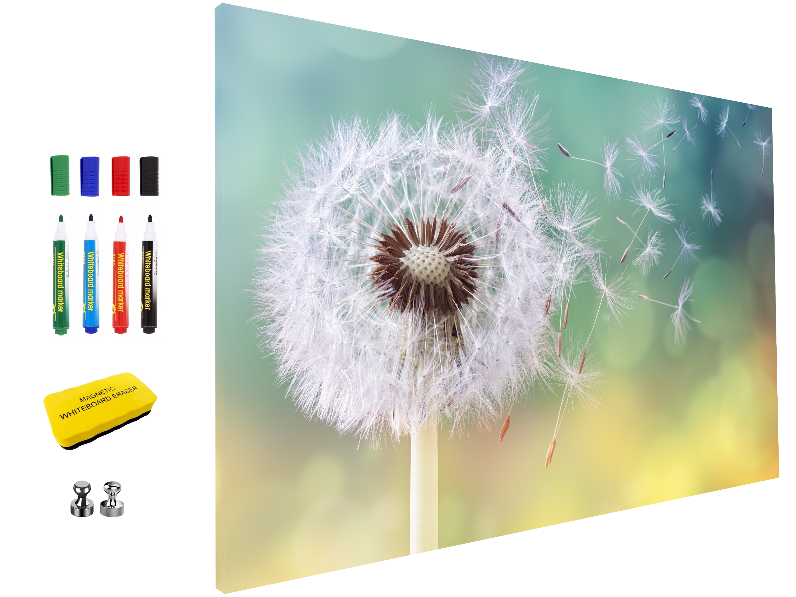 Magnetic Metal Board – Dry-Erase Wall Board & Strong Magnet Bulletin Board for Offices, Homes & Classrooms – Modern & Durable Wall Organizer : Dandelion