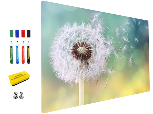 Magnetic Metal Board – Dry-Erase Wall Board & Strong Magnet Bulletin Board for Offices, Homes & Classrooms – Modern & Durable Wall Organizer : Dandelion