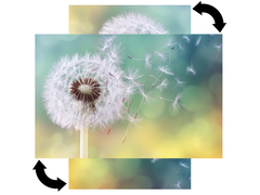 Magnetic Metal Board – Dry-Erase Wall Board & Strong Magnet Bulletin Board for Offices, Homes & Classrooms – Modern & Durable Wall Organizer : Dandelion