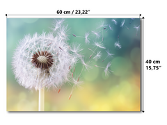 Magnetic Metal Board – Dry-Erase Wall Board & Strong Magnet Bulletin Board for Offices, Homes & Classrooms – Modern & Durable Wall Organizer : Dandelion