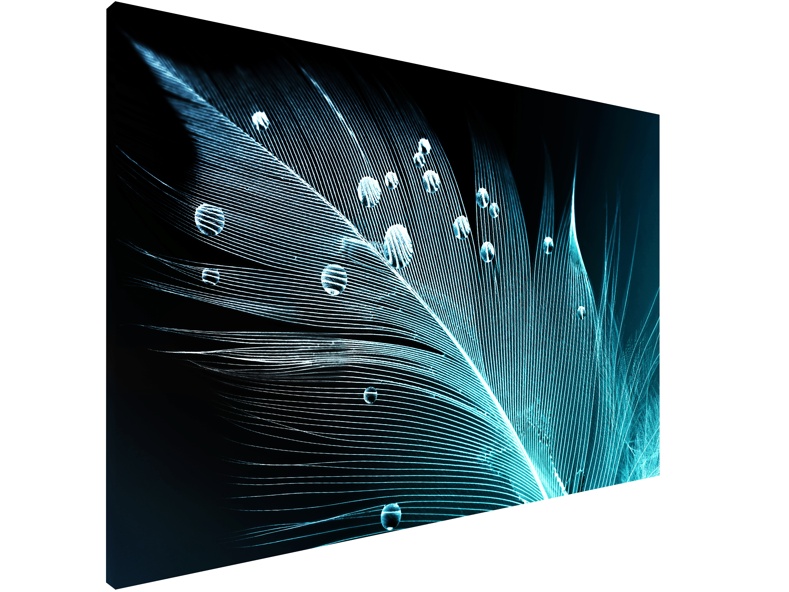 Magnetic Metal Board – Dry-Erase Wall Board & Strong Magnet Bulletin Board for Offices, Homes & Classrooms – Modern & Durable Wall Organizer : Feather water drops