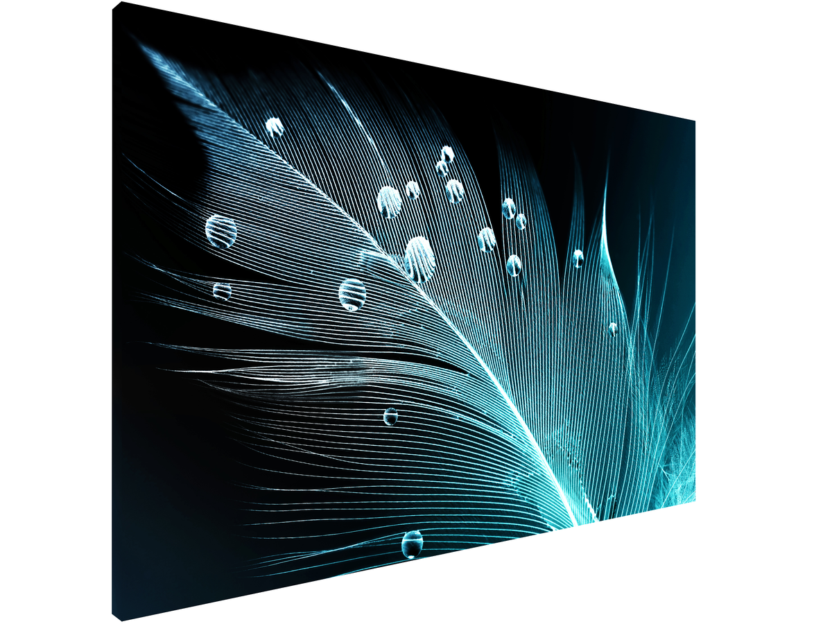 Magnetic Metal Board – Dry-Erase Wall Board & Strong Magnet Bulletin Board for Offices, Homes & Classrooms – Modern & Durable Wall Organizer : Feather water drops