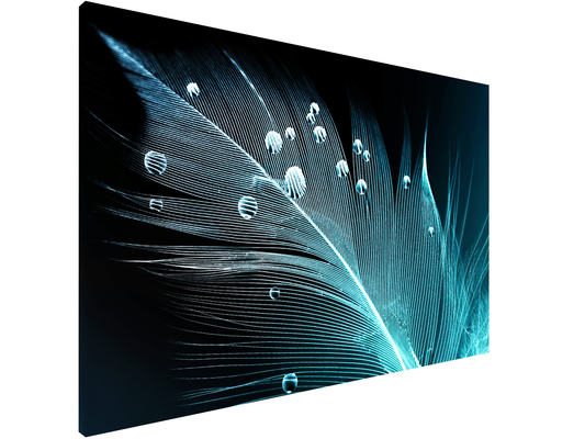 Magnetic Metal Board – Dry-Erase Wall Board & Strong Magnet Bulletin Board for Offices, Homes & Classrooms – Modern & Durable Wall Organizer : Feather water drops