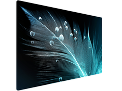 Magnetic Metal Board – Dry-Erase Wall Board & Strong Magnet Bulletin Board for Offices, Homes & Classrooms – Modern & Durable Wall Organizer : Feather water drops