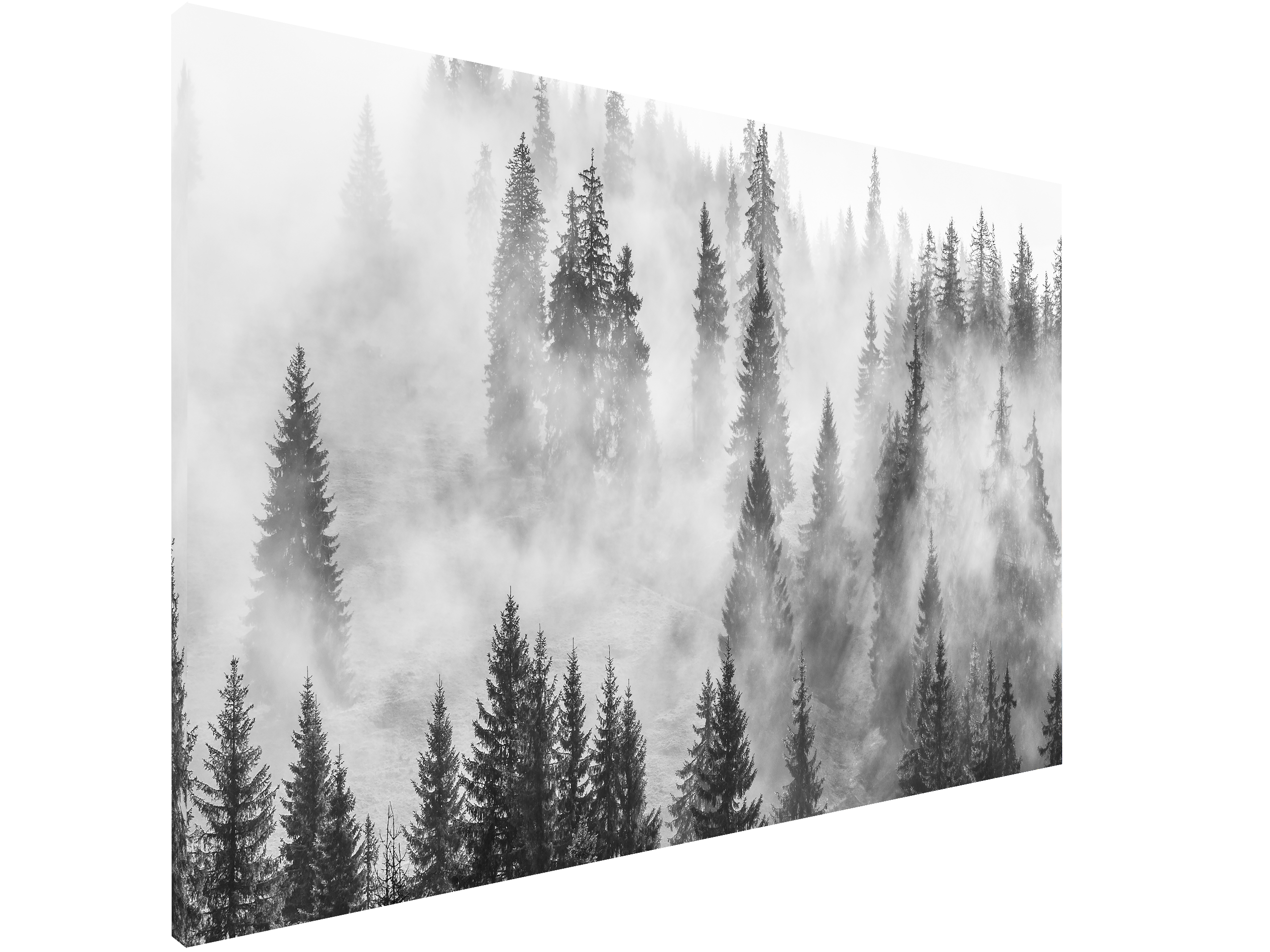 Magnetic Metal Board – Dry-Erase Wall Board & Strong Magnet Bulletin Board for Offices, Homes & Classrooms – Modern & Durable Wall Organizer : Foggy forest