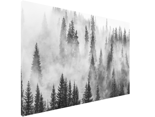 Magnetic Metal Board – Dry-Erase Wall Board & Strong Magnet Bulletin Board for Offices, Homes & Classrooms – Modern & Durable Wall Organizer : Foggy forest