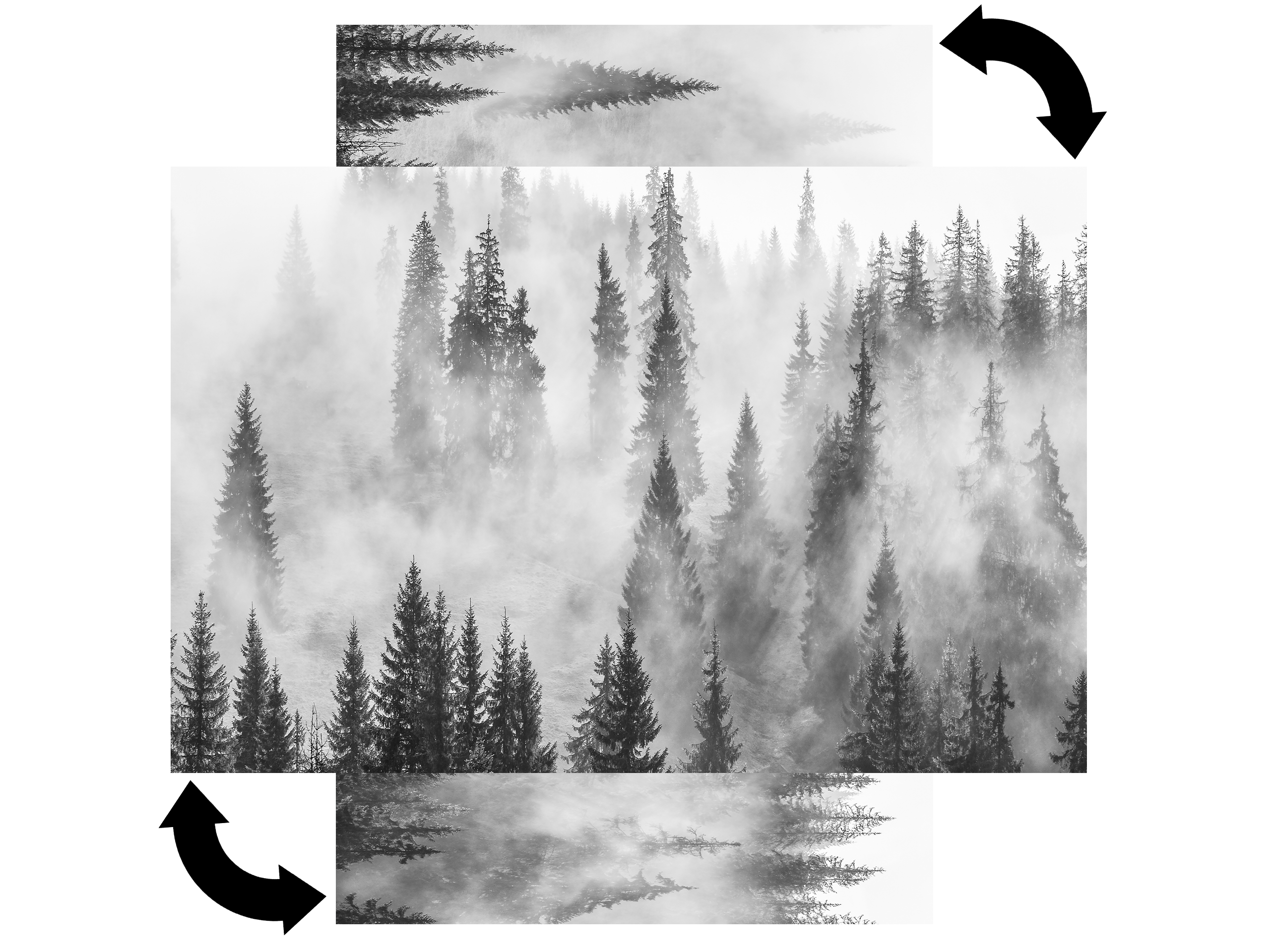 Magnetic Metal Board – Dry-Erase Wall Board & Strong Magnet Bulletin Board for Offices, Homes & Classrooms – Modern & Durable Wall Organizer : Foggy forest