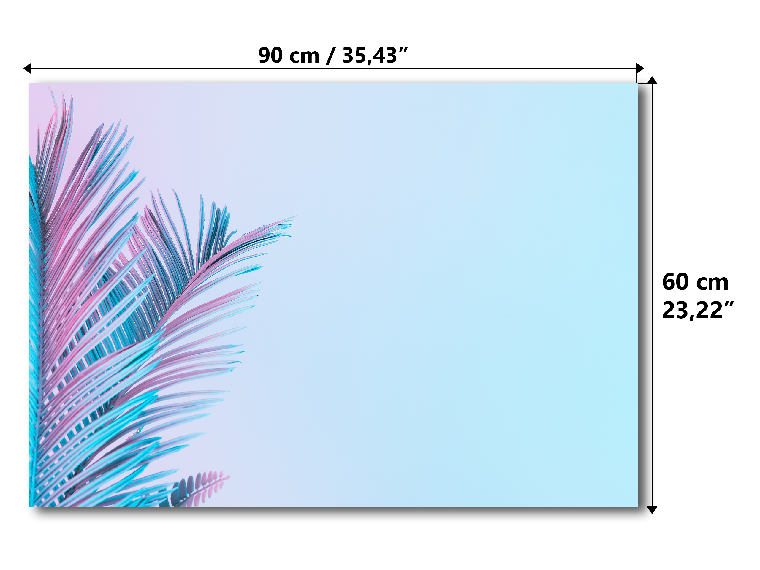 Magnetic Metal Board – Dry-Erase Wall Board & Strong Magnet Bulletin Board for Offices, Homes & Classrooms – Modern & Durable Wall Organizer : Tropical leaves