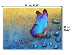 Magnetic Metal Board – Dry-Erase Wall Board & Strong Magnet Bulletin Board for Offices, Homes & Classrooms – Modern & Durable Wall Organizer : Tropical butterfly 2