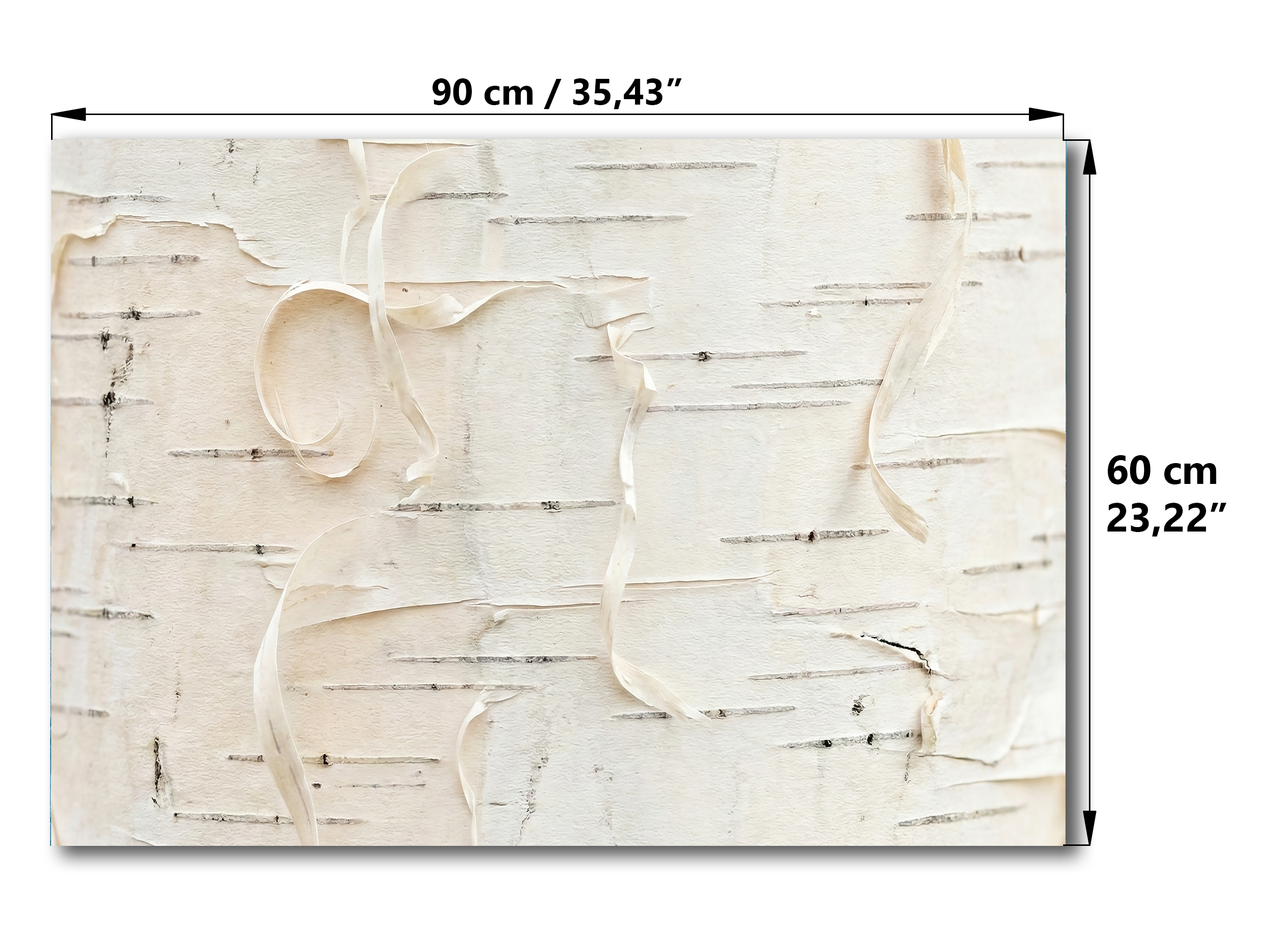 Magnetische Metalltafel – Trocken abwischbare Wandtafel und starke Magnet-Pinnwand für Büros, Zuhause und Klassenzimmer – Moderner und langlebiger Wand-Organizer: Gemalte Katze