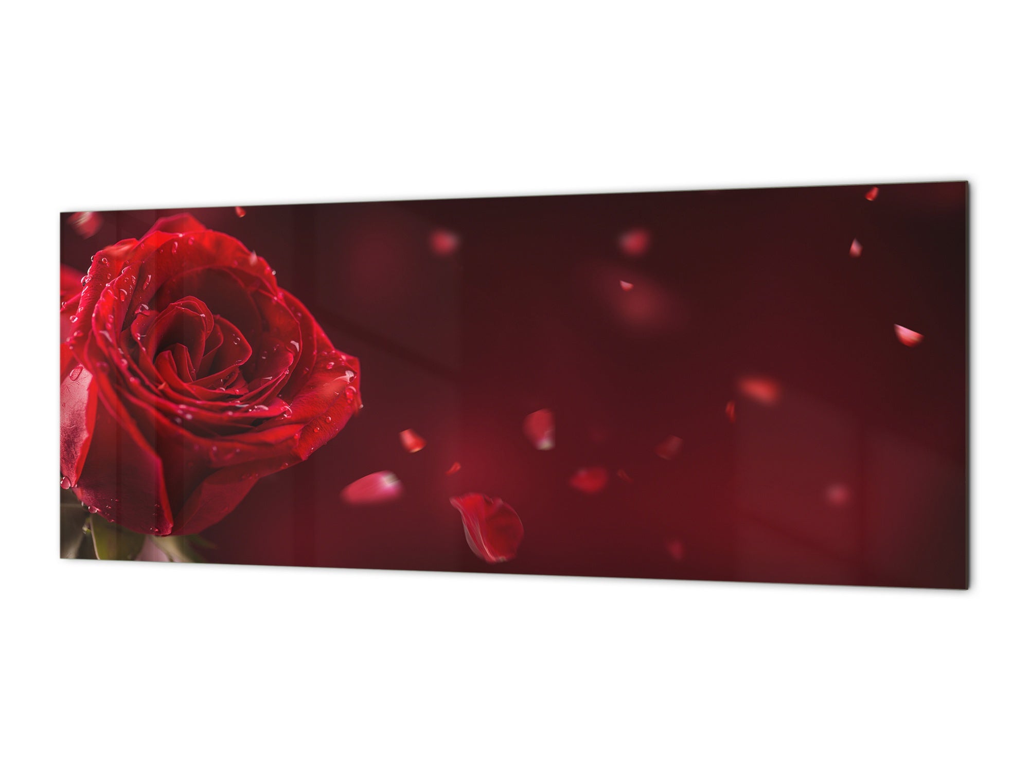 Design glass backsplash - Tempered Glass BBS29 w/wo magnetic properties splashback : Nature Series : Romantic red rose