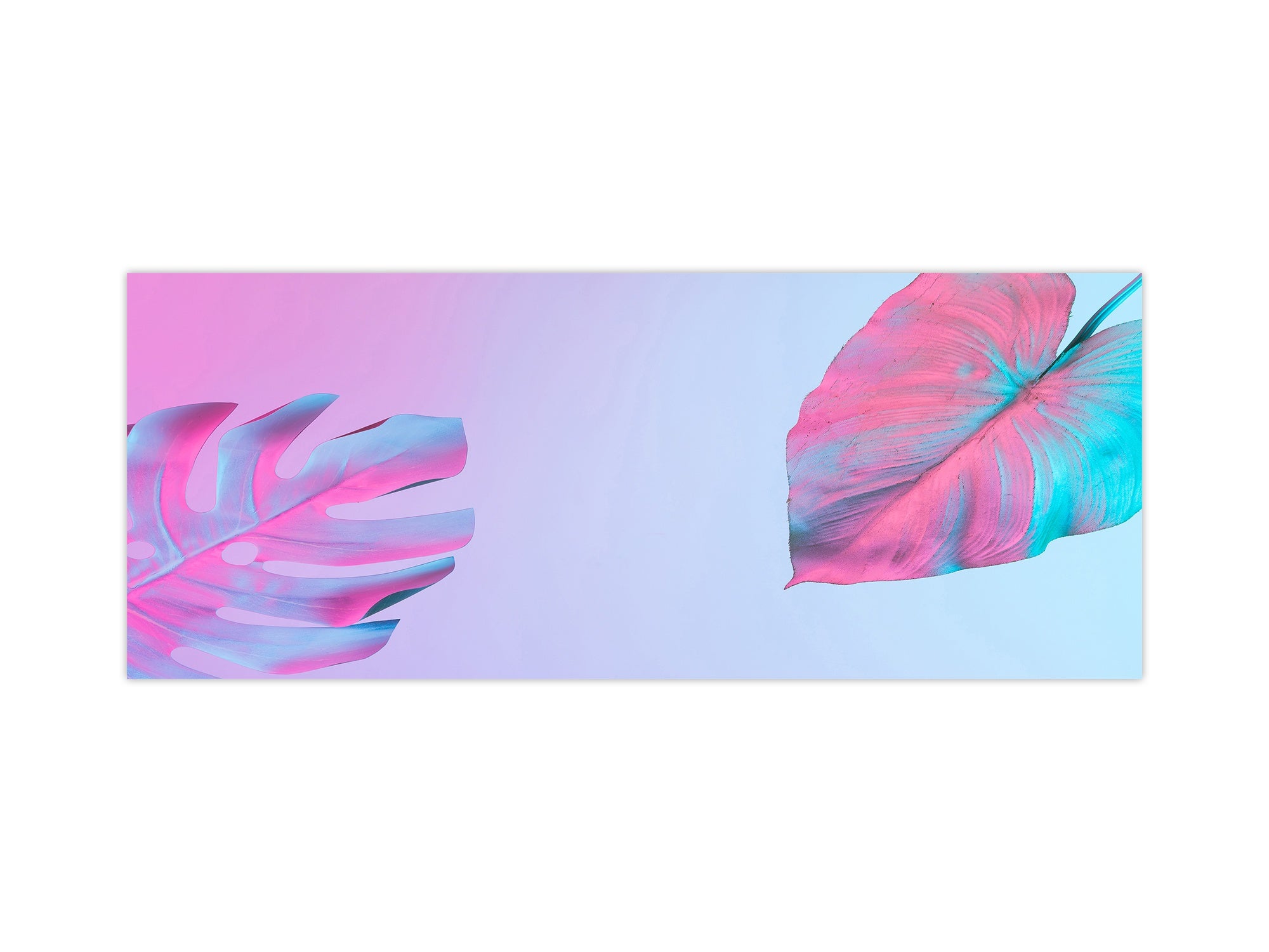 Design glass backsplash - Tempered Glass BBS29 splashback w/wo magnetic properties : Nature Series : Monstera deliciosa 1