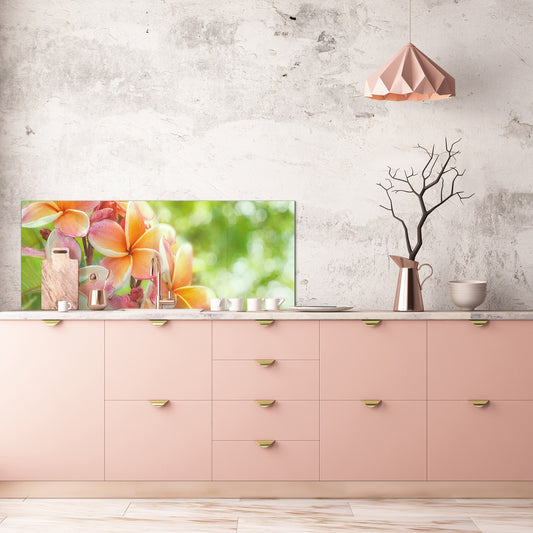 Design glass backsplash - Tempered Glass BBS29 splashback w/wo magnetic properties : Nature Series : Frangipani flower