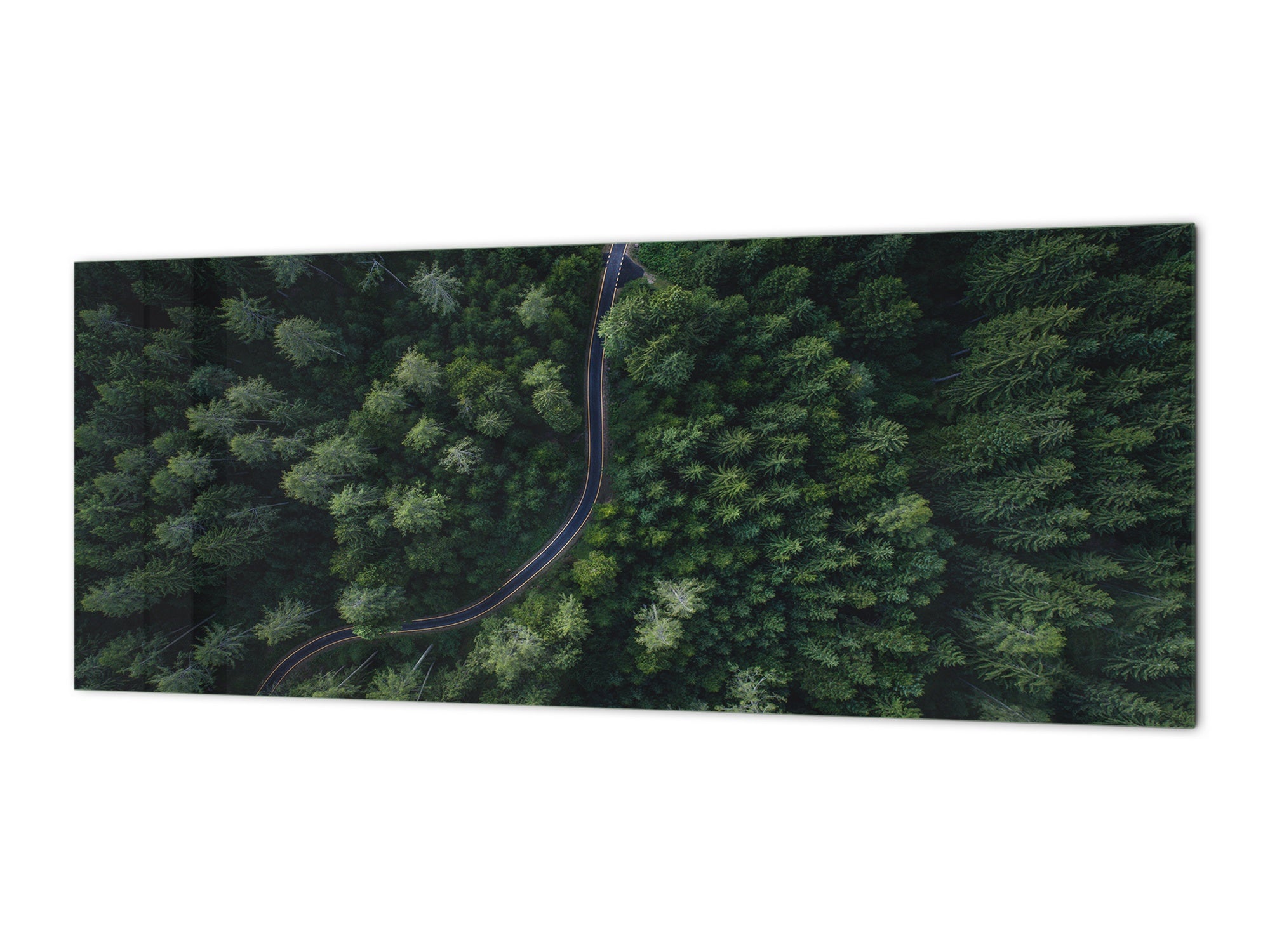 Wide format Wall panel - Design backsplash BBS34 w/wo magnetic properties : Miscellaneous series : Forest road